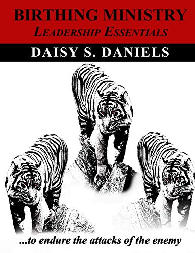 Birthing Ministry: Leadership Essentials 0991400208 Book Cover