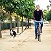 Hands Free Dog Bike Leash - Shock Absorbing Bike Attachment for Exercise, Heavy Duty Cycling Walker with Elastic Buffer Rope, Professional Pet Tether Fits Small Medium Dogs