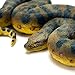 Safari Ltd. Green Anaconda Figurine - Detailed 6