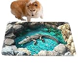 Dreuhuing Alfombras De Ilusión Óptica | Alfombra Antideslizante con Diseño de Trampa Visual - Alfombra Decorativa Tridimensional,para Uso en Cocina, Baño, Entrada, Porche, Interior y como Decoración