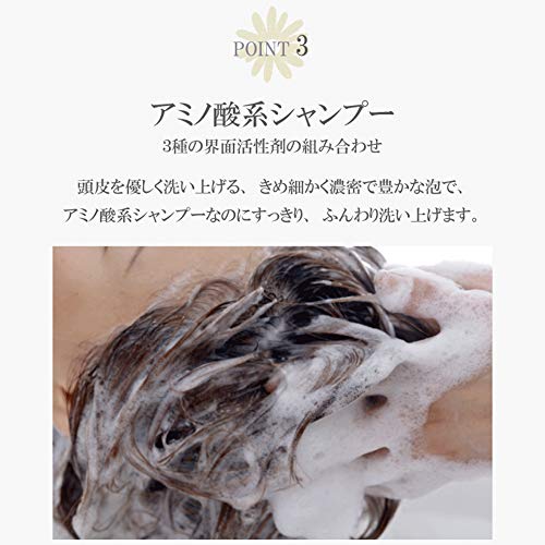 【 クロフィア 】シャンプー 480ml ボトル セット 低刺激 で ノンシリコン くせ毛 にも 対応 きめ細か に 泡立つ 乾燥 ダメージ補修 美容室専売 植物由来 ボタニカル 保湿 頭皮 メンズ