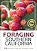 Foraging Southern California: 118 Nutritious, Tasty, and Abundant Foods