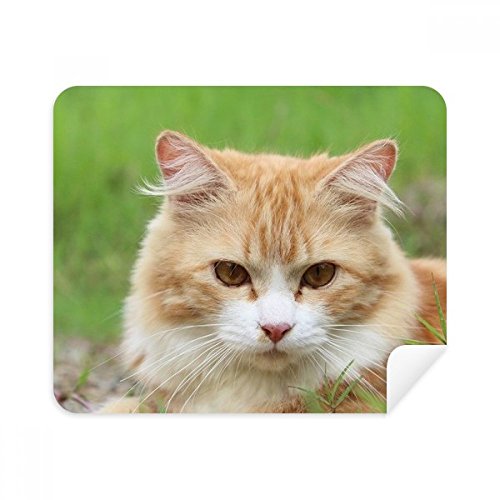 Yellow Stripes Cat Stare Pet Animal Cleaning Cloth Screen Cleaner 2pcs Suede Fabric