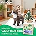 The Petting Zoo White-Tailed Buck Stuffed Animal Plushie, Gifts for Kids, Earth Keeperz Wildlife Animals, Zoologee White-Tailed Buck Plush Toy, 12 inches