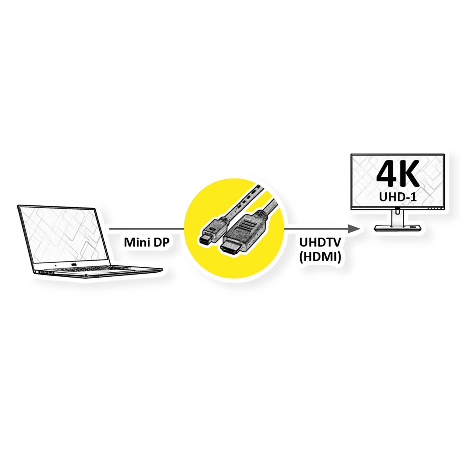 ROLINE Câble Mini DisplayPort avec connecteur HDMI M/M - Transmission sur écran de la vidéo et de l'audio - manteau PVC noir - 1m