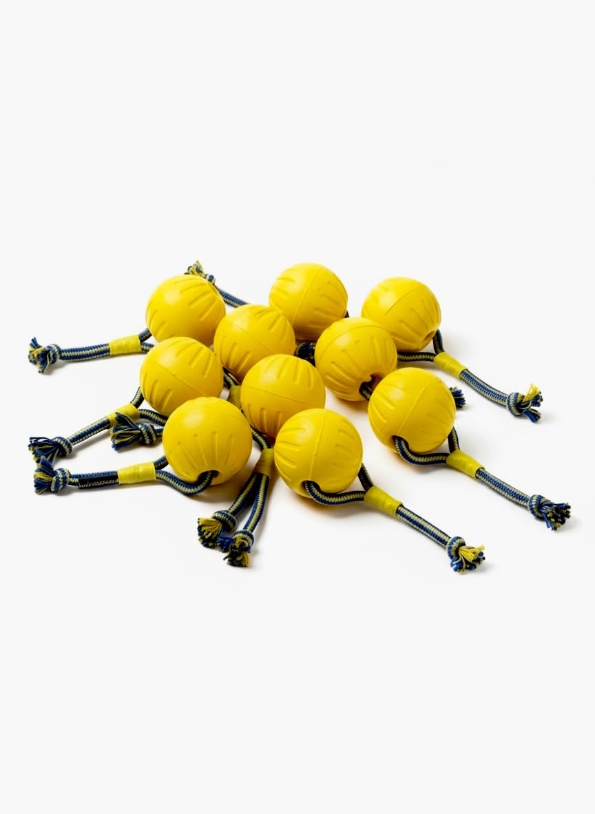 Hundeball – Robustes Hundespielzeug für Hunde | wasserfest, schwimmfähig & bissfest | ideal zum Apportieren & Spielen | in 1 Stück, 3er-Set oder 10er-Sparset erhältlich (10er-Sparset)