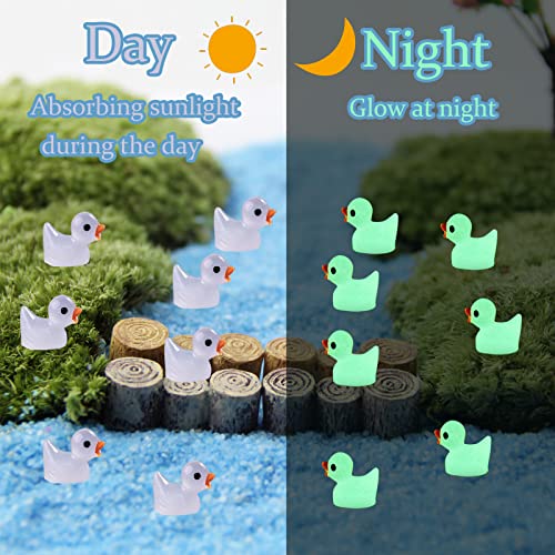 Winmind 100Pcs Luminous Little Duck Miniature Garden Statue Glow Accessories Glow In The Dark Resin Duck Garden Micro Landscape Doll Accessories For Gnomes Garden Outdoor Patio Lawn Yard Decoration #TOP1