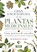 Gran enciclopedia de las plantas medicinales (Gran Enciclopedia Plantas Medicinales) - Berdonces i Serra, Josep Lluís