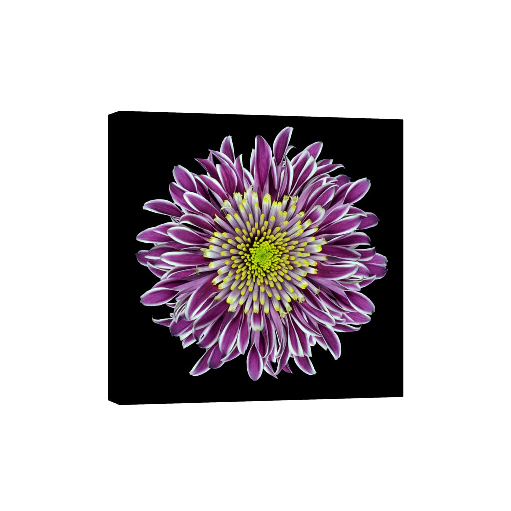 Tableau fleurs lumineux pour apaiser vos nuits dans l'obscurité 80x80