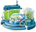 Clementoni - Science et Jeu - La Cité des Fourmis - Observatoire d’insectes Dans leur Habitat - Activités d’Expériences Animal - Jeu Scientifique de Nature - Français - 52757