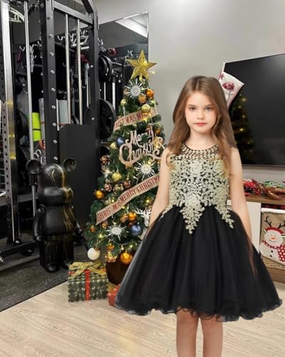 Tulle Flower Girl Dresses for Wedding Lace Beaded Princess Pageant Dress Sleeveless Birthday Party Gown3