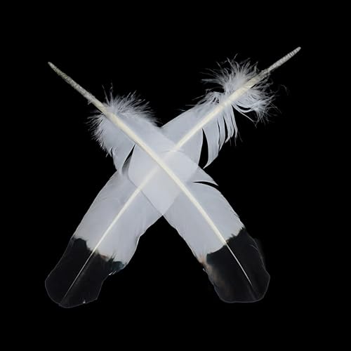 Miniatura 6 de Ws&Wt 20 plumas de pavo de 10 a 12 pulgadas para manualidades, plumas redondas, alas derechas e izquierdas, decoración de fiesta, disfraz de fiesta,