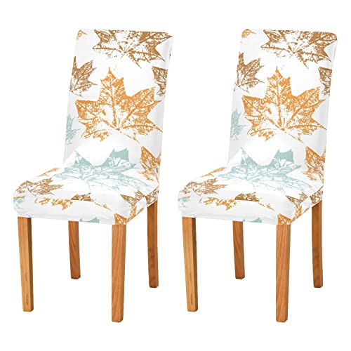 Kigai Autumn Maple Leaves Chair Covers For Dining Room Stretch Chair Slipcovers Removable Washable Anti-Dust Kitchen Chair Cover Halloween/Thanksgiving Decorative Seat Protector Set Of 4 #TOP3