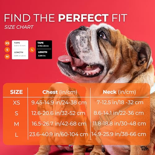 Toh Conjunto Peitoral H E Guia Fiji M