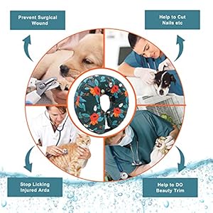 Protective Inflatable Collar for Dogs and Cats – Soft Pet Recovery Collar Does Not Block Vision, Prevents Pets from Touching Stitches, Wounds and Rashes (Floral, L)