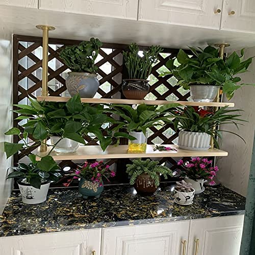 Hongkefit Floating Shelf - Ceiling Mount Storage Rack, 2 Layer Hanging Metal Frame Display Rack, Easy To Assemble/Gold 24/32/39/47In Long. (Size : 60 * 25 * 80Cm) (Size : 60 * 25 * 80) #TOP4