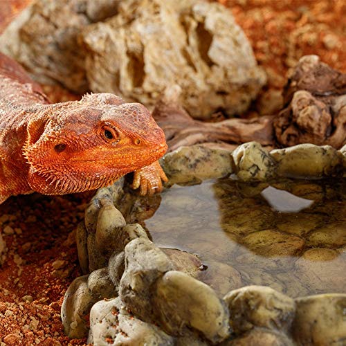 Exo Terra Corner Water Dish, hoekwaterbak, waterschaal voor reptielen, groot - Afbeelding 4