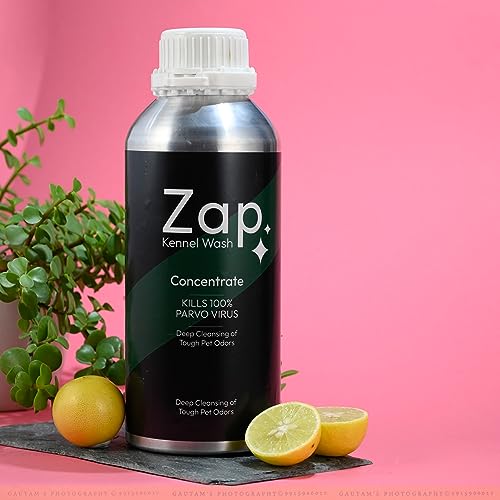 See full amazon price history chart for Planet Pets Zap Kennel Wash/Pet Floor Cleaner/ Removes Bad Odour And Kills Parvo Virus - 1 Litre(Wash) Planet Pets Zap Kennel Wash/Pet Floor Cleaner/ Removes Bad Odour And Kills Parvo Virus - 1 Litre(Wash) (B09G6LYWHN) Amazon Price History, Amazon Price Tracker