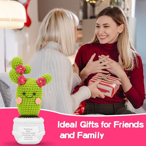 Image of Hoedia Handmade Emotional Pickle Gift, Emotional Cucumber Crochet Doll Inspirational Gifts with Cards, Cute Knitted Funny Support Pickle Potato Friend Birthday (Blossom Cactus)