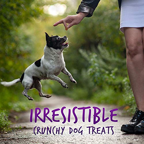 Fruitables Crunchy Baked Dog Treats | Pumpkin & Blueberry | 7 Ounces, Model Number: 2157 - Image 6