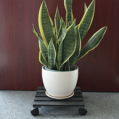 Cerbior Plant Caddy Heavy Duty Plant Stands Pot With Wheels Indoor/Outdoor Holds Up 12 Inches And 80 Lbs Strong And Sturdy Design (Square, Charcoal) #TOP5