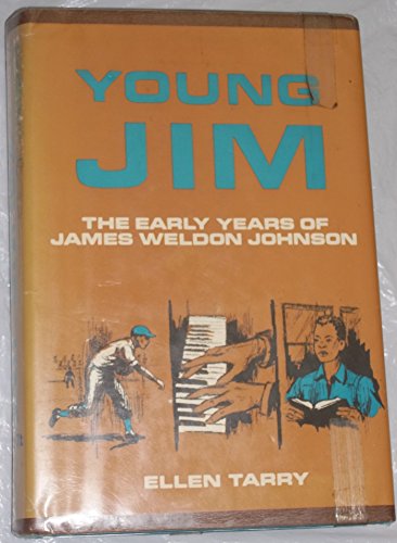 Young Jim the Early Years of James Weldon Johnson 0396055982 Book Cover