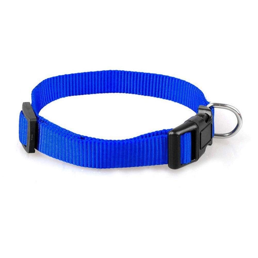 Collier pour chien nylon robuste réglable contre usure et rupture