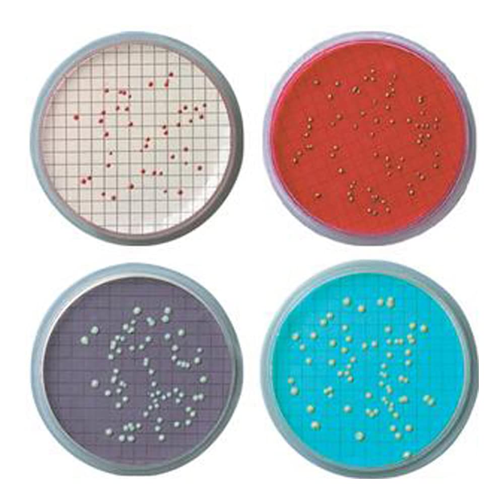 A020F047A Membrane Filter with Pad, Sterile, Grid, 47 mm Diameter, White (Pack of 100)