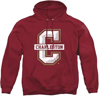 LOGOVISION Official Collegiate Distressed Primary Logo Adult Pullover Hoodie Collection
