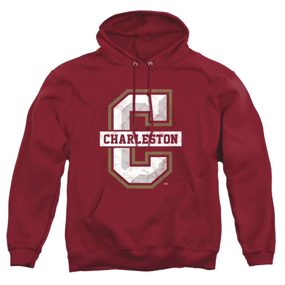 LOGOVISION Official Collegiate Distressed Primary Logo Adult Pullover Hoodie Collection — view 314
