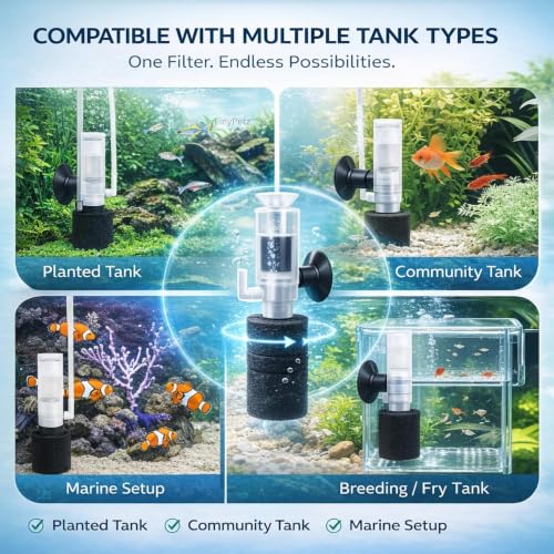 Image of LY-2832 Nano Sponge Aquarium Filter with Airstone for Small Fish Tank & Fish Bowl | Betta, Guppy, Shrimp & Fry Safe Bio Sponge Filter | Quiet Bubble Nano Tank Filter | Air Pump Not Included