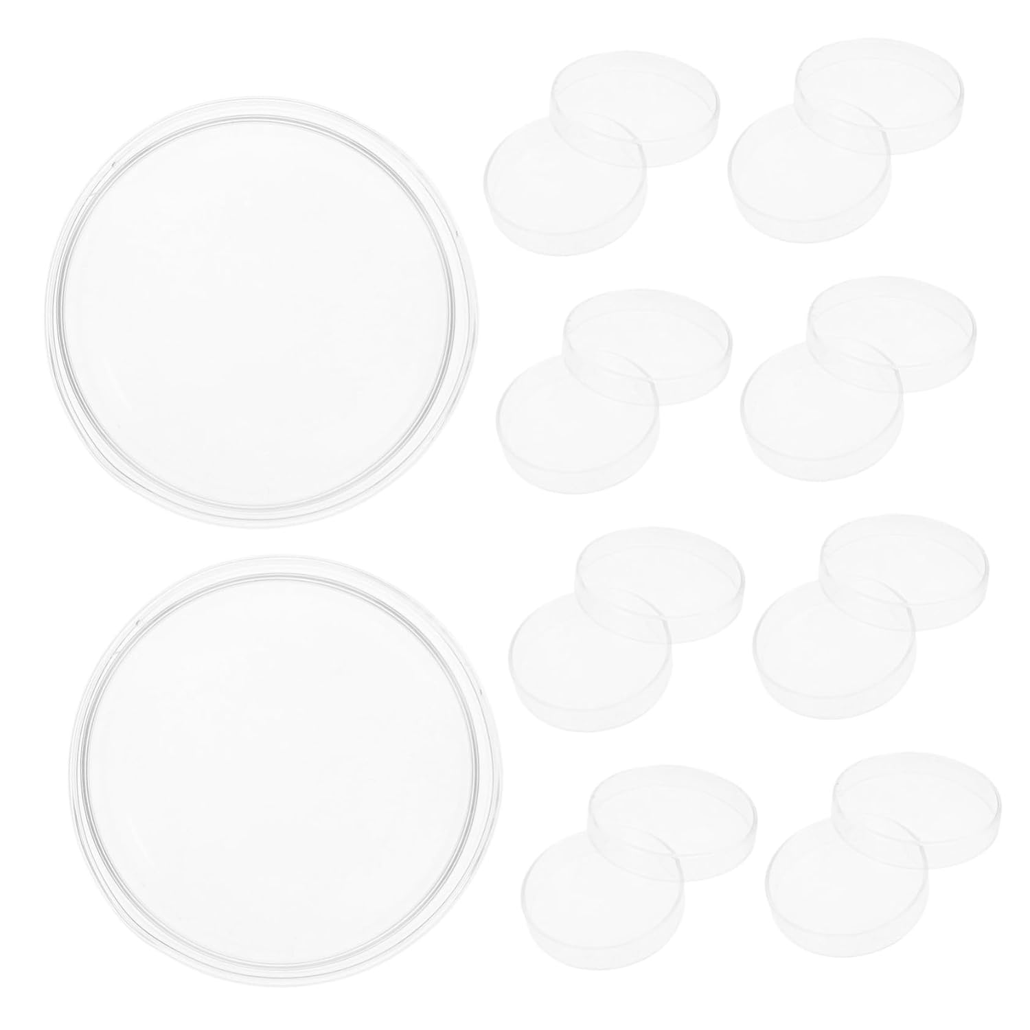 10pcs Glass Petri Dishes Pre-Poured Nutrient Agar Plates for Science Projects Lab Experiments and Education Reusable Design for Enhanced Visibility