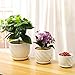 YINGERHUAN Set of 3 Ceramic Plant Pot - Flower Plant Pots Indoor with Saucers,Small to Medium Sized Round Modern Ceramic Garden Flower Pots (White)