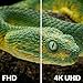 Imagen de STRONG Decodificador TDT 4K UHD