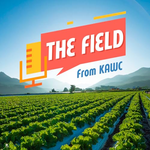 The Field from KAWC Titelbild