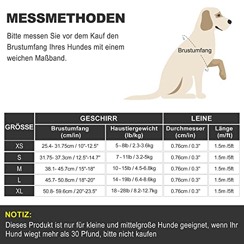haapaw Hundegeschirr und Leine Set, kein Ziehen, verstellbares, reflektierendes Step-in-Welpengeschirr mit dicker, gepolsterter Weste für extra kleine/kleine mittelgroße Hunde