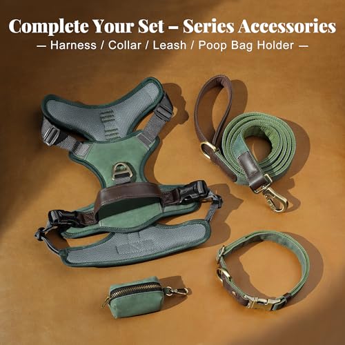 Image of Didog No Pull Dog Harness for Medium Dogs, Classic PU Leather, Green, L