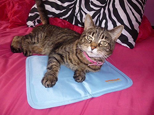 Snugglesafe Kühlpad für Hunde