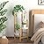 Wisuce Bamboo Plant Shelf Indoor