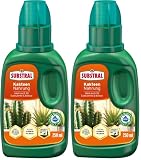 Substral Kakteen Nahrung 250ml auch für Sukkulenten & Bonsai, Humifirst (Packung mit 2)