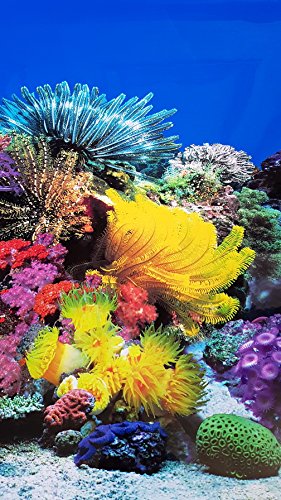 Karen Low New!! 23 Inch Height Aquarium Background Coral And Freshwater Plants Jungle Decorations (72"(L) X 23"(H)) #TOP3