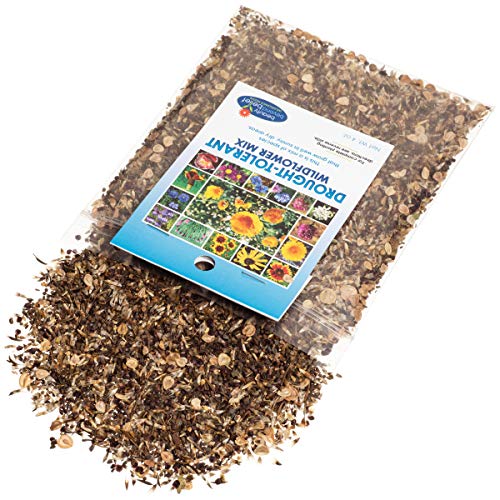 Drought Tolerant Wildflower Seeds Open-Pollinated Bulk Flower Seed Mix For Beautiful Perennial, Annual Garden Flowers - No Fillers - 4 Oz Packet #TOP1