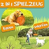 rootsnoot Frisbee FÜR Hunde | weich und super stabil | schwimmfähig | besonders Zahn - schonend | SCHADSTOFF FREI (NEON - Orange)