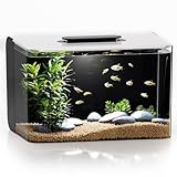 Betta Fish Tank, 2.5 Gallon Aquarium Kit with Filter, Light, Self Cleaning, Oxygenation, Small All in One Starter Fish Tank for Goldfish, Guppy, Shrimp, Desktop, Acrylic