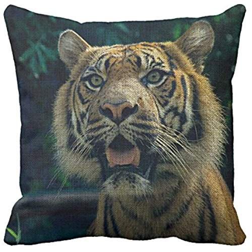 Richess Animal Sofa Pillow Case Cover Nature 18 X 18 Pillow Cover