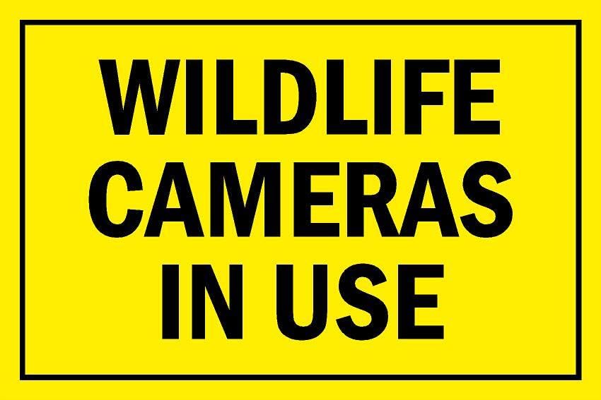 Wildlife cameras in use, warning sign - 1mm flexible Plastic sign (200mm x 150mm)