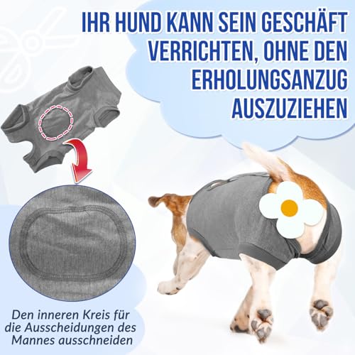 Eyein Hundebody Nach Op, Atmungsaktiver und bequemer Einteiler für Hunde mit Verstellbarer Klettverschluss, Wundschutzanzüge für Hunde zur Verhinderung von Lecken - E-Halsband-Alternative (Grau, M)