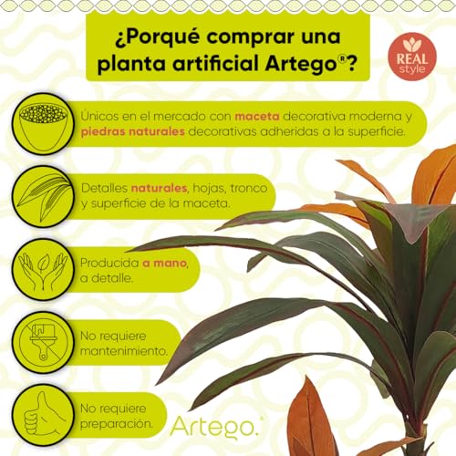 La Mejor Selección de Palo de brasil artificial los 7 más buscados. 40 Imagen adicional
