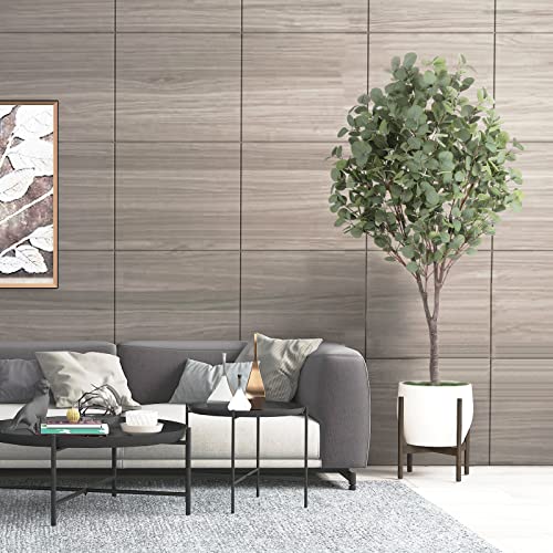 Oxllxo 6Ft Artificial Eucalyptus Tree (72In) With Plastic Nursery Pot Faux Tree, Silver Dollar Leaves Fake Plants For Office House Farmhouse Living Room Home Decor (Indoor/Outdoor) #TOP2