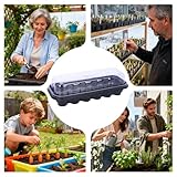 Zoom IMG-1 nexusectar vassoi per piantine scatole